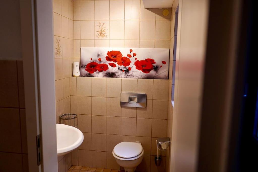 Helle Kellerwohnung Im Gruenen Mit Sauna Köln Ngoại thất bức ảnh